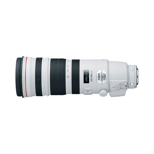 Canon EF 200-400mm f/4L IS USM Lens with Extender 1.4x